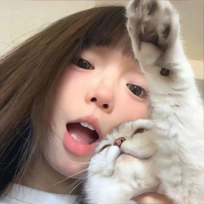 棉尾兔